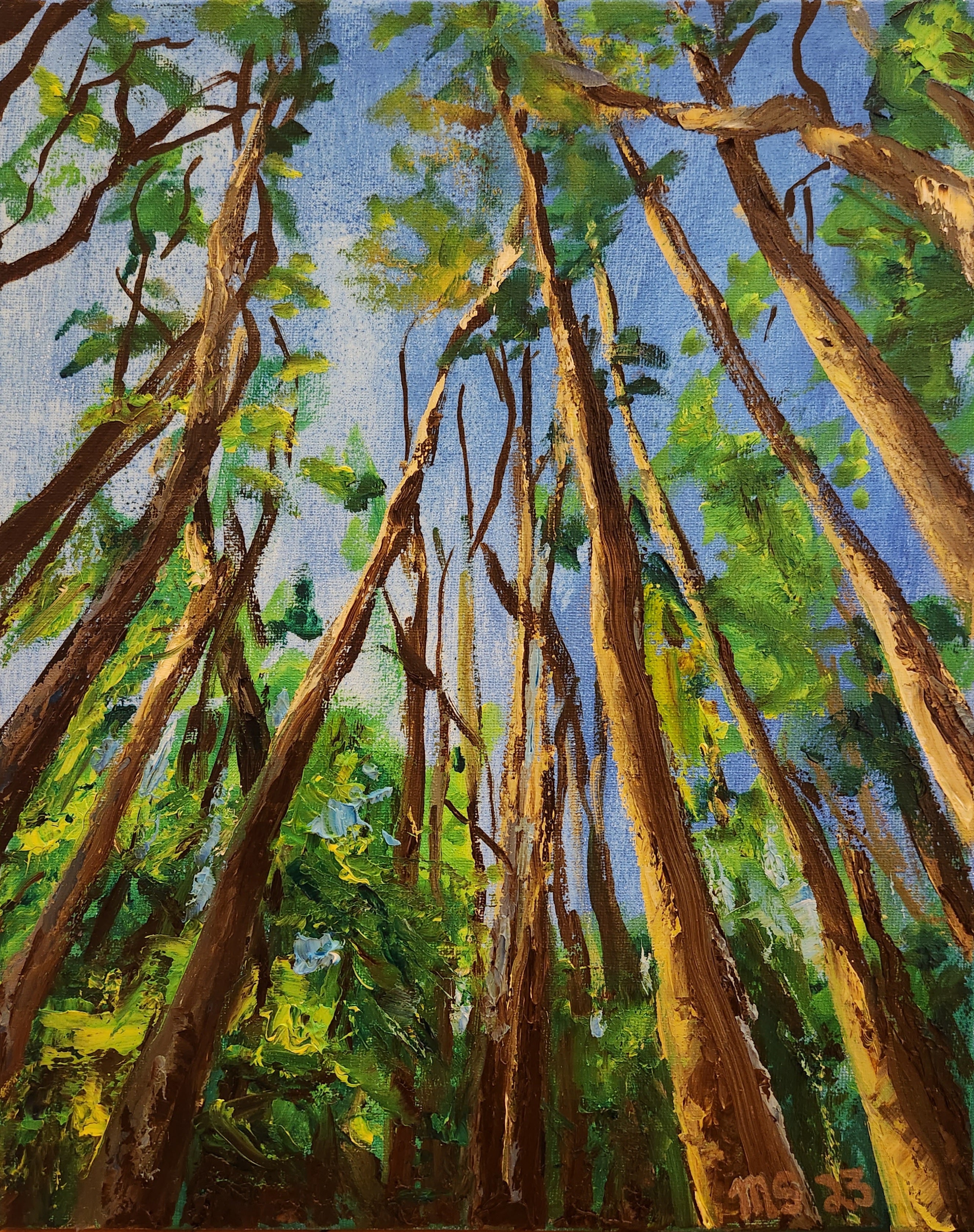 Looking Up, Original Oil on Canvas, 11"x14"