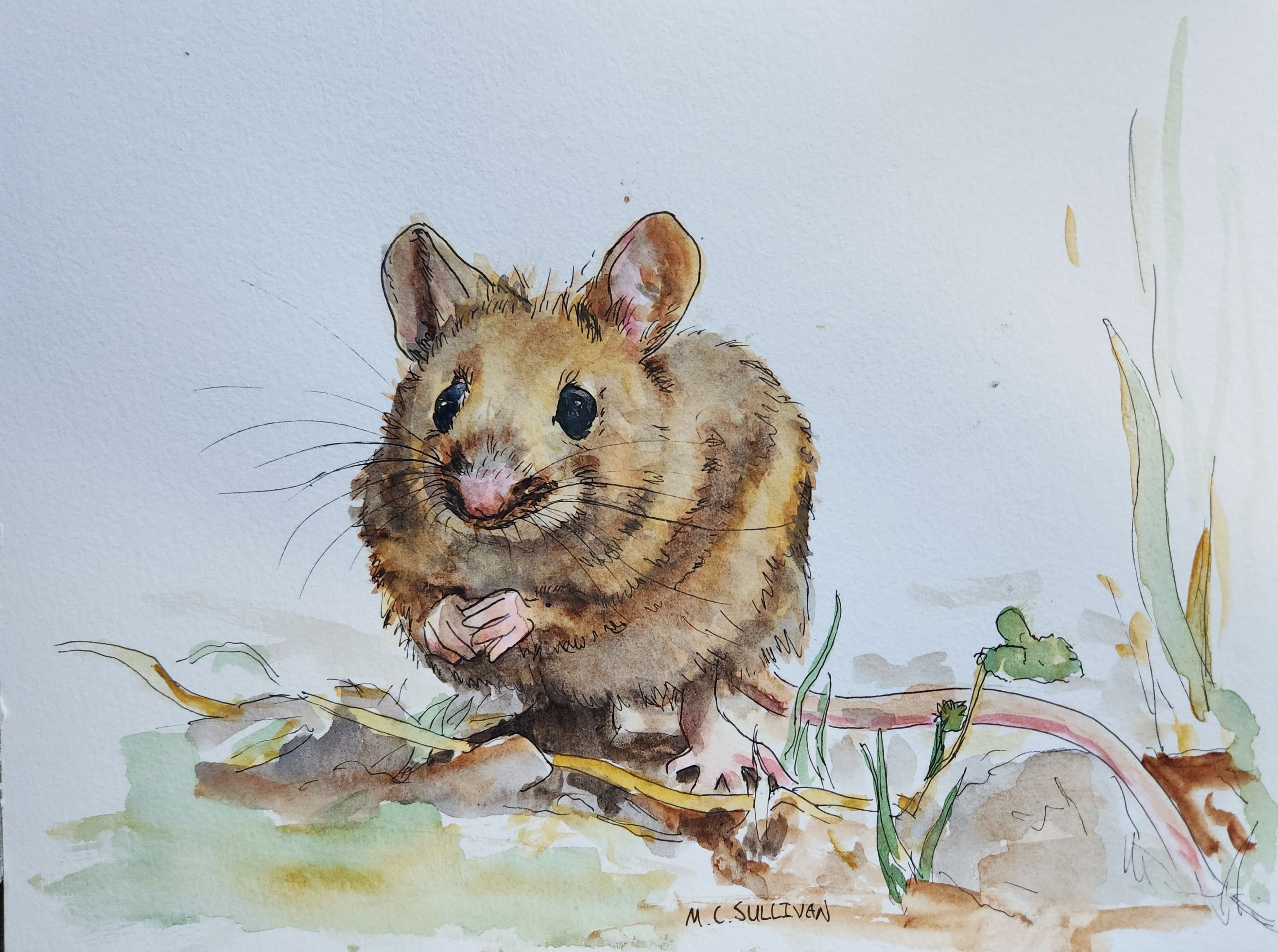 Mouse, Fine Art Print, 8"x10"
