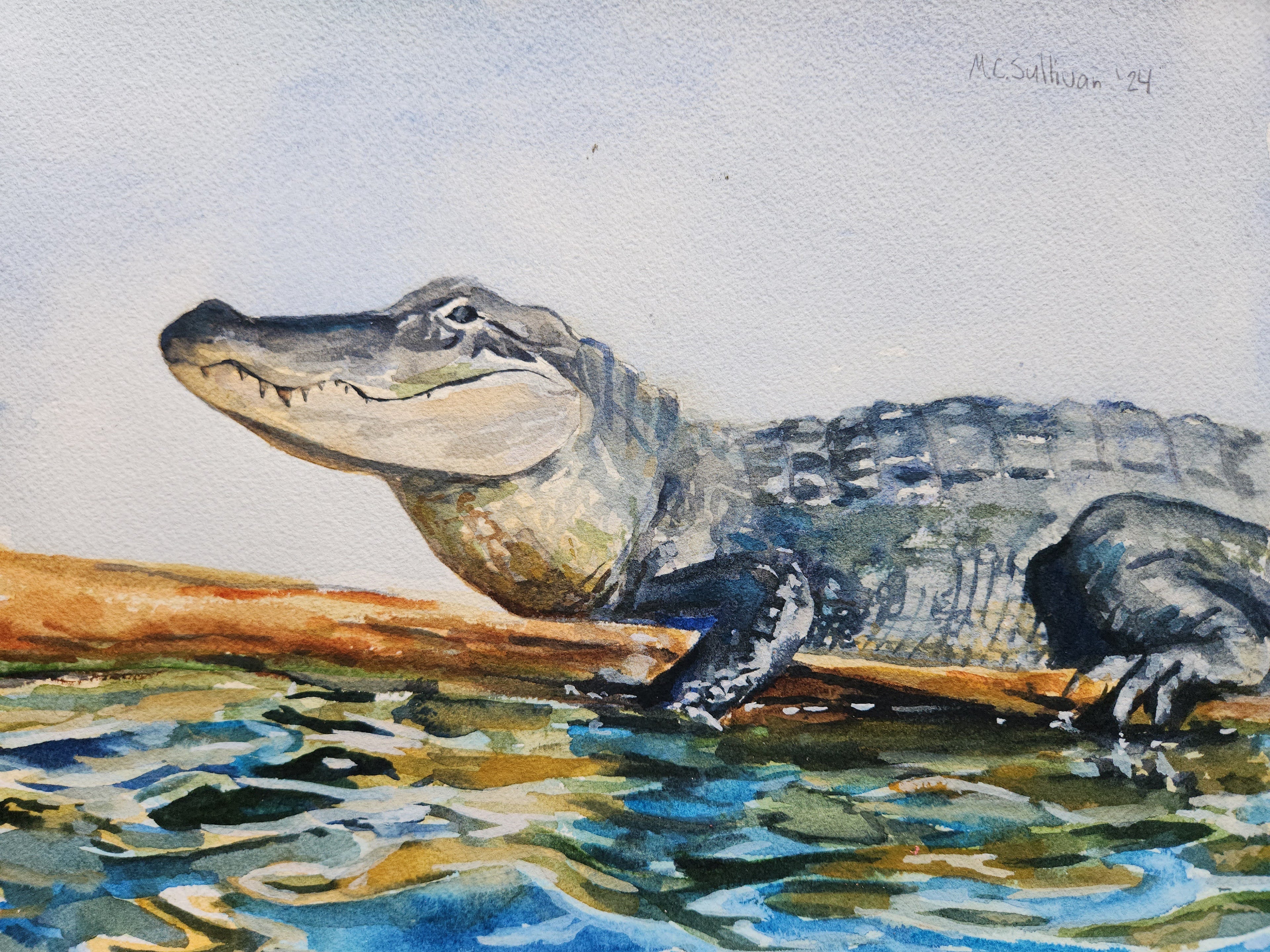 Alligator, Fine Art Print, 8"x10"