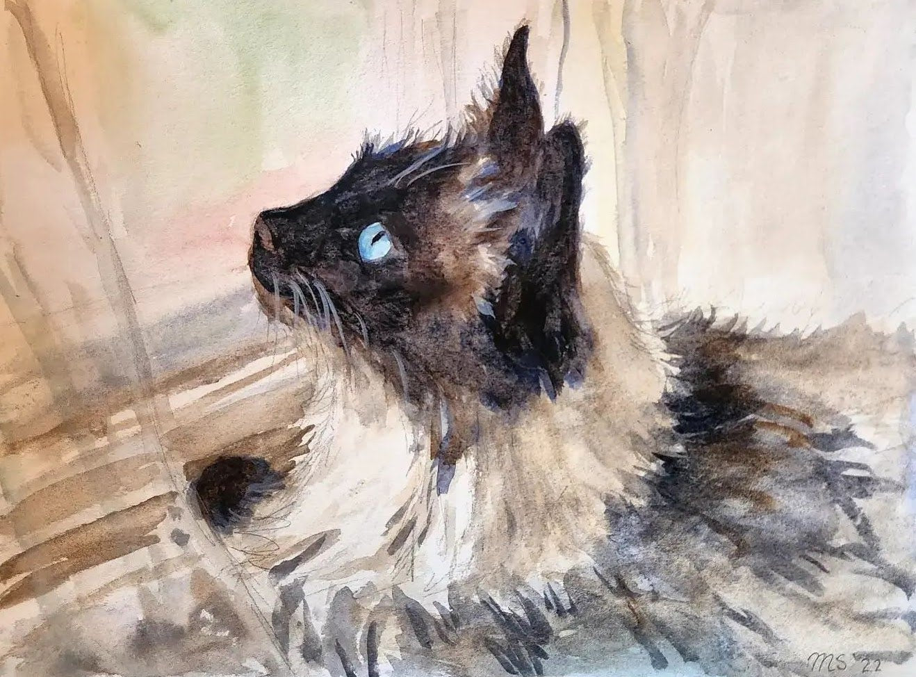 Nala the Ragdoll Cat, Fine Art Print, 8"x10"