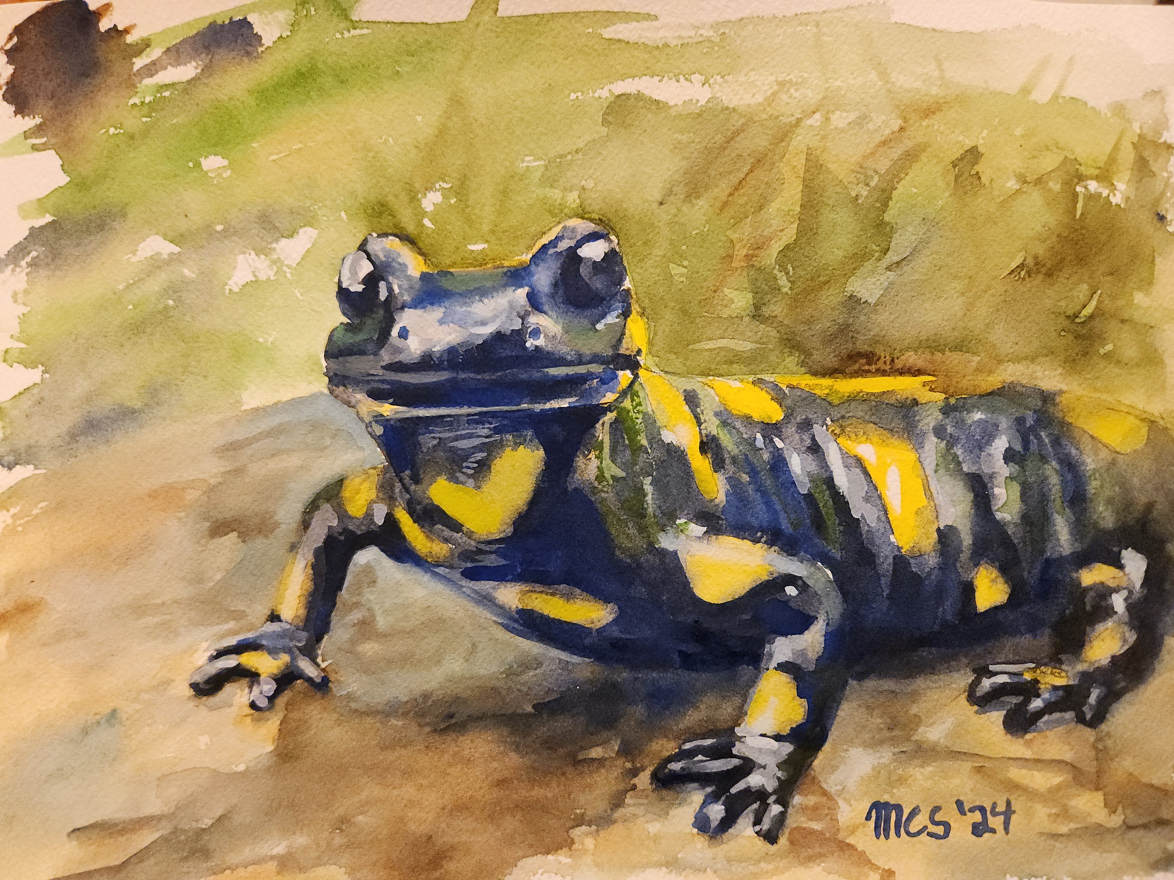 Fire Salamander, Original Watercolor, 9"x12"