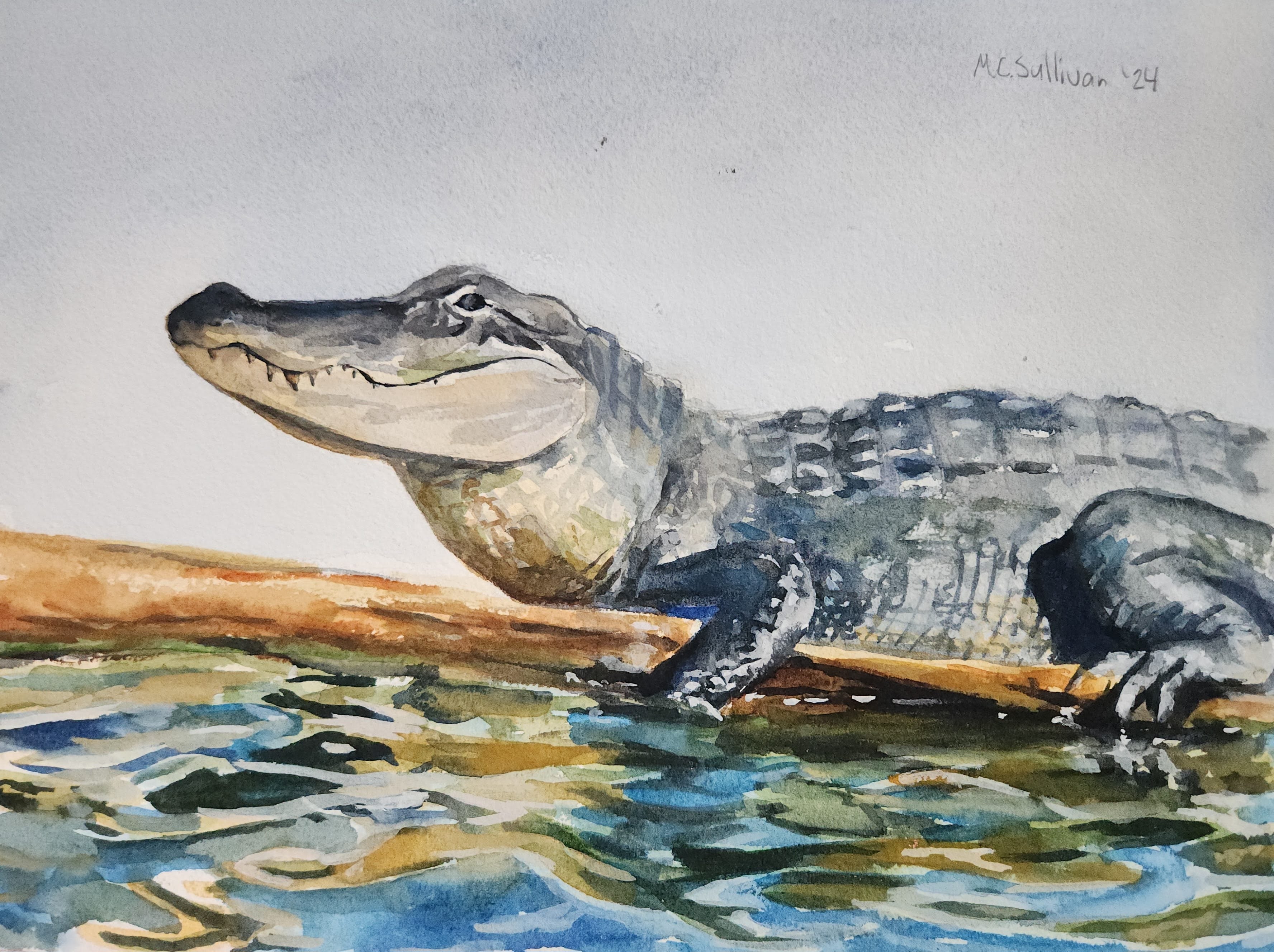 Alligator, Original Watercolor, 9"x12"