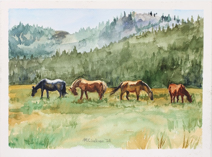 Horses of the Wind River Range: 9"x12" Fine Art Print