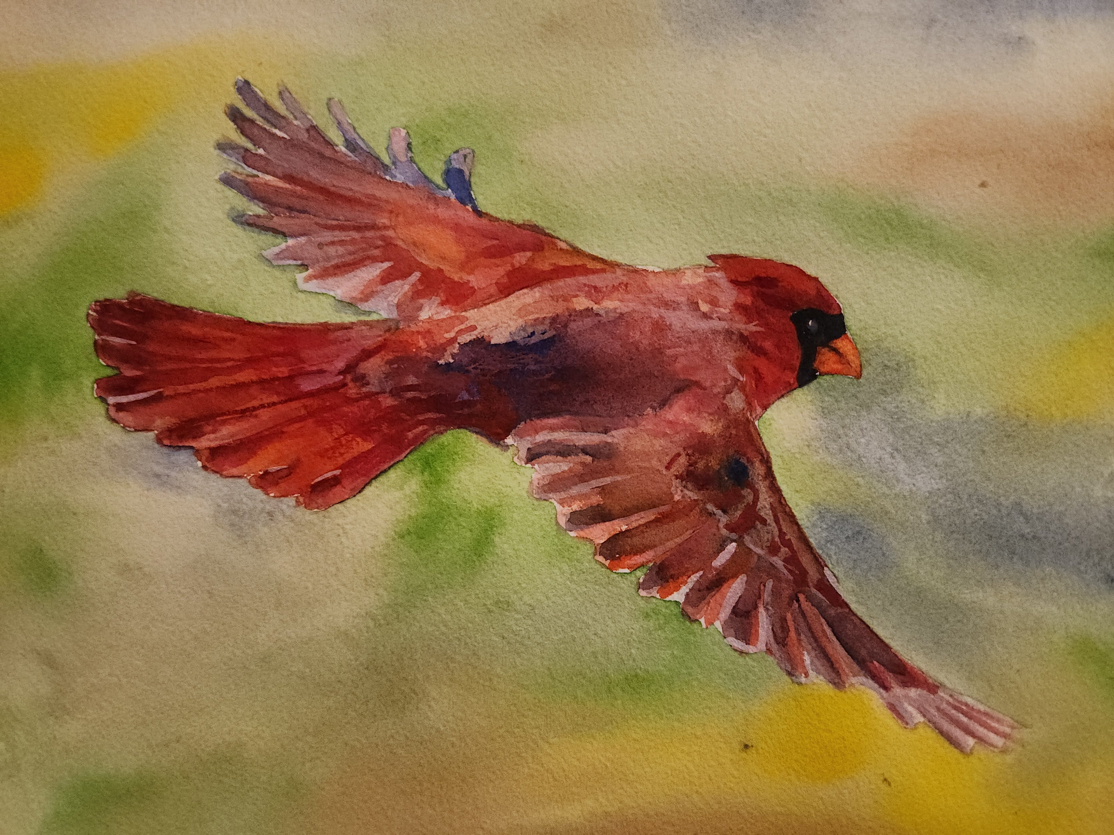 Cardinal, Original Watercolor Painting, 9"x12"