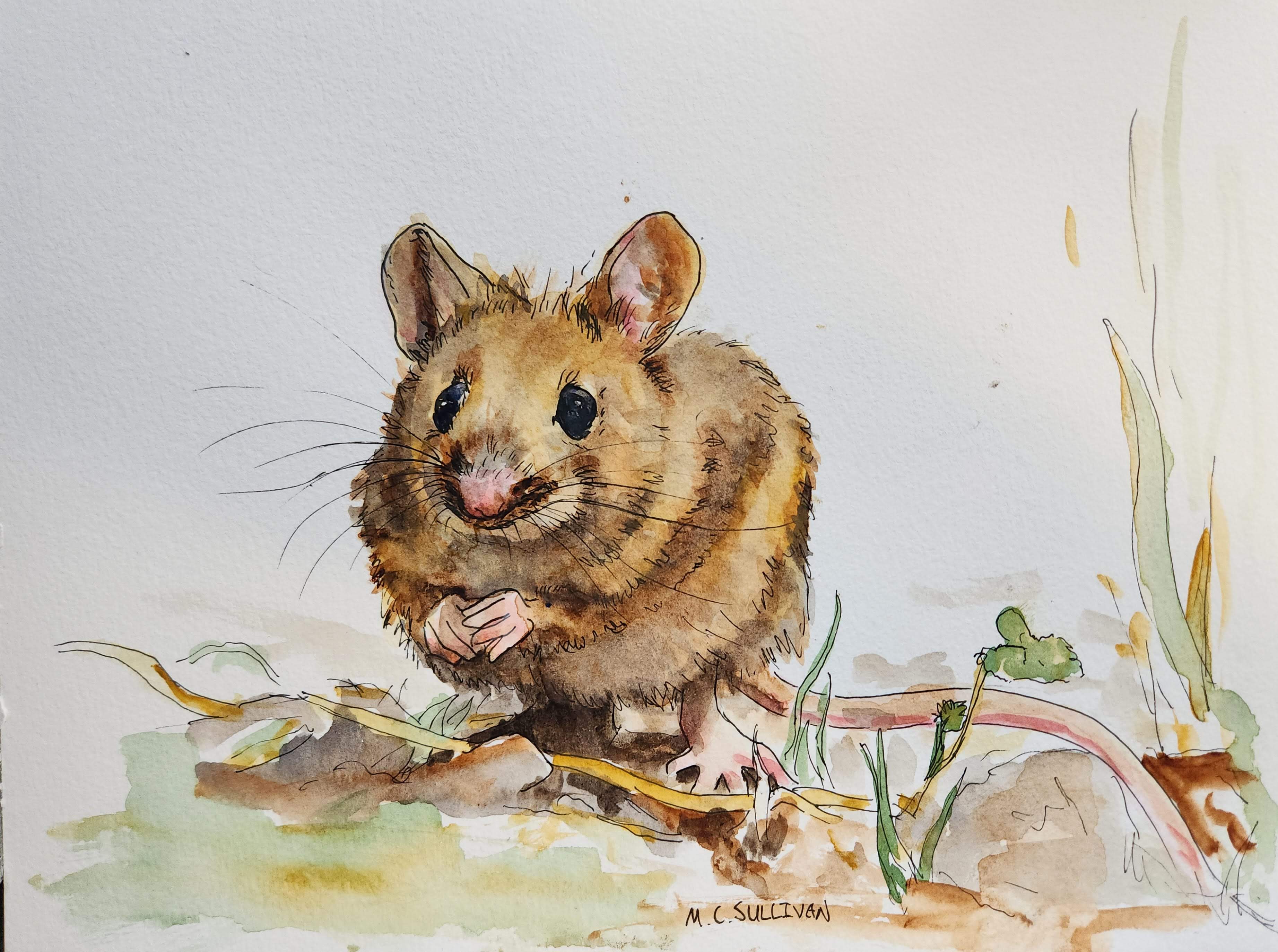 Mouse, Original Watercolor Painting, 9"x12"